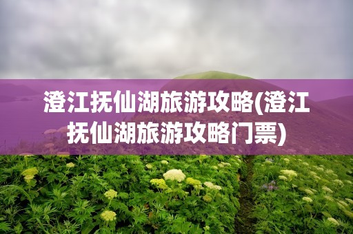 澄江抚仙湖旅游攻略(澄江抚仙湖旅游攻略门票)