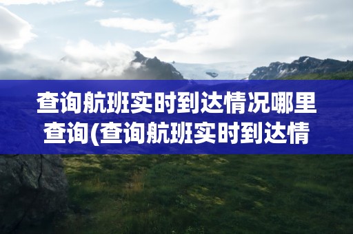 查询航班实时到达情况哪里查询(查询航班实时到达情况哪里查询电话)