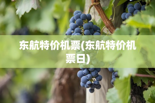 东航特价机票(东航特价机票日)