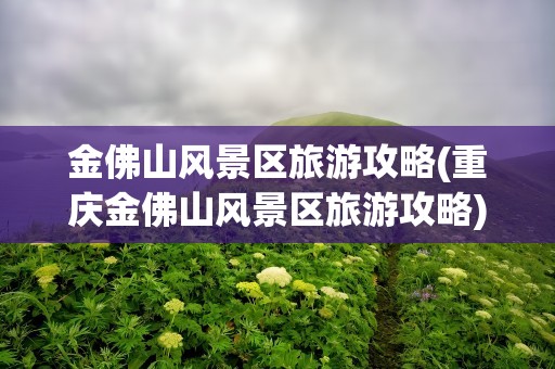 金佛山风景区旅游攻略(重庆金佛山风景区旅游攻略)