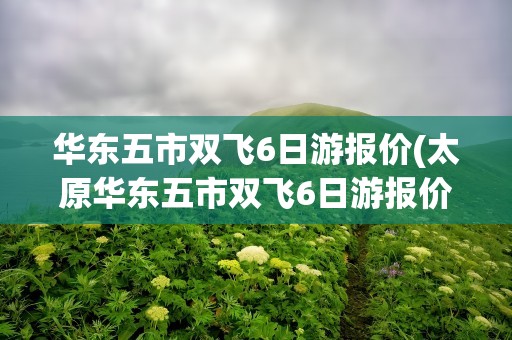 华东五市双飞6日游报价(太原华东五市双飞6日游报价)