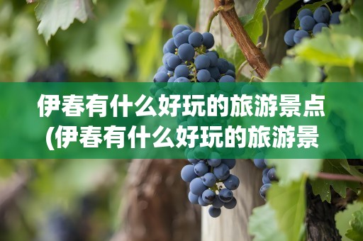 伊春有什么好玩的旅游景点(伊春有什么好玩的旅游景点推荐)