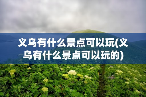 义乌有什么景点可以玩(义乌有什么景点可以玩的)