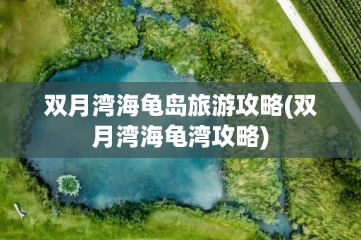 双月湾海龟岛旅游攻略(双月湾海龟湾攻略)