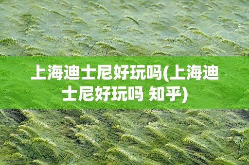 上海迪士尼好玩吗(上海迪士尼好玩吗 知乎)
