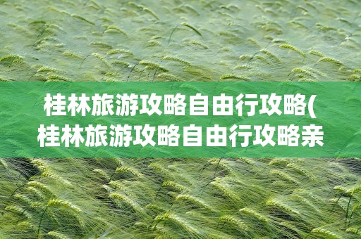 桂林旅游攻略自由行攻略(桂林旅游攻略自由行攻略亲子)