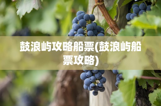 鼓浪屿攻略船票(鼓浪屿船票攻略)