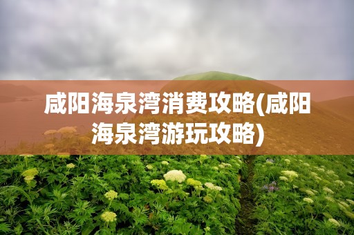 咸阳海泉湾消费攻略(咸阳海泉湾游玩攻略)