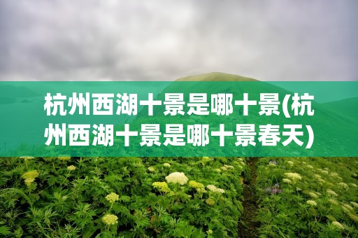 杭州西湖十景是哪十景(杭州西湖十景是哪十景春天)
