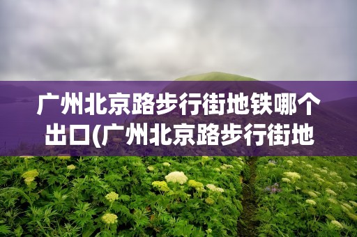 广州北京路步行街地铁哪个出口(广州北京路步行街地铁哪个出口近)