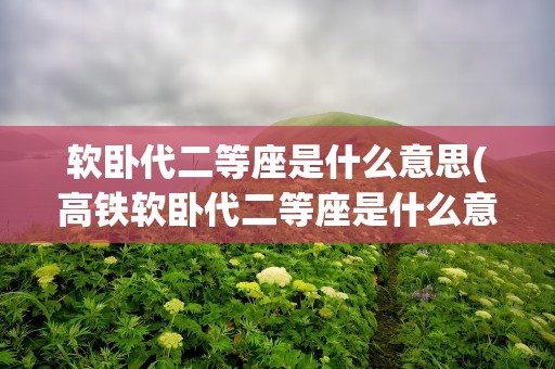 软卧代二等座是什么意思(高铁软卧代二等座是什么意思)