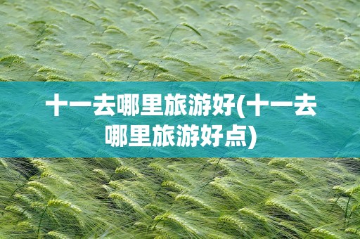 十一去哪里旅游好(十一去哪里旅游好点)