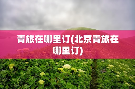 青旅在哪里订(北京青旅在哪里订)