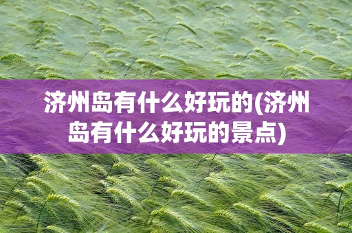 济州岛有什么好玩的(济州岛有什么好玩的景点)