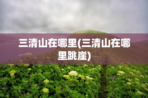 三清山在哪里(三清山在哪里跳崖)