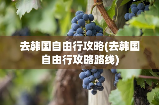 去韩国自由行攻略(去韩国自由行攻略路线)