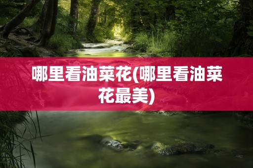 哪里看油菜花(哪里看油菜花最美)