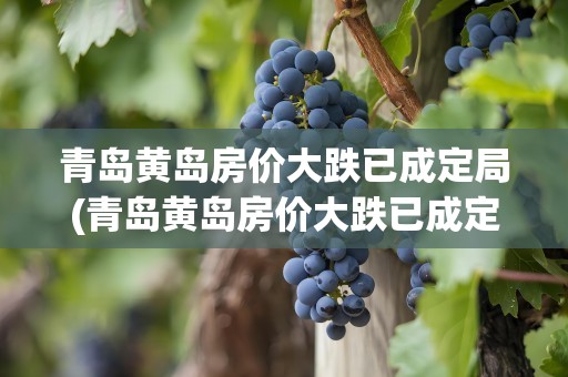 青岛黄岛房价大跌已成定局(青岛黄岛房价大跌已成定局2022)