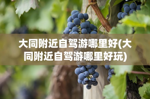 大同附近自驾游哪里好(大同附近自驾游哪里好玩)