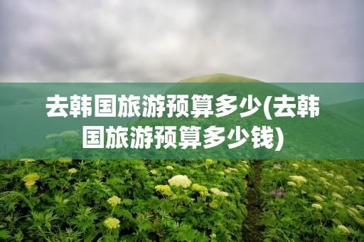 去韩国旅游预算多少(去韩国旅游预算多少钱)