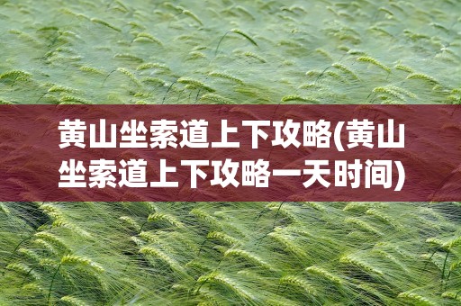 黄山坐索道上下攻略(黄山坐索道上下攻略一天时间)