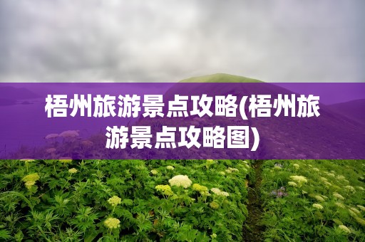 梧州旅游景点攻略(梧州旅游景点攻略图)