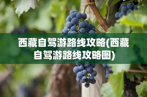 西藏自驾游路线攻略(西藏自驾游路线攻略图)