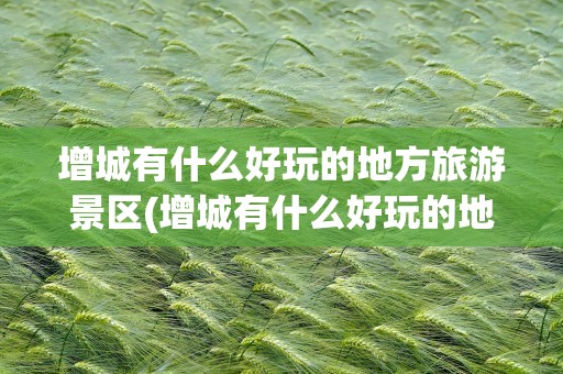 增城有什么好玩的地方旅游景区(增城有什么好玩的地方旅游景区免费)