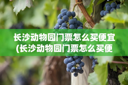 长沙动物园门票怎么买便宜(长沙动物园门票怎么买便宜点)