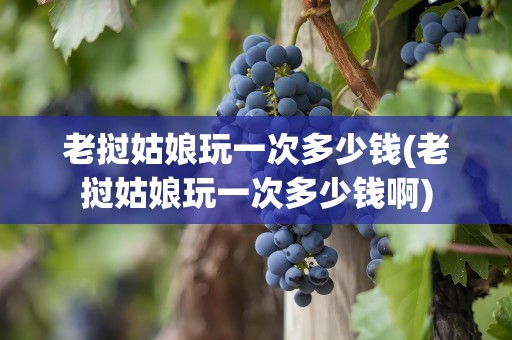 老挝姑娘玩一次多少钱(老挝姑娘玩一次多少钱啊)