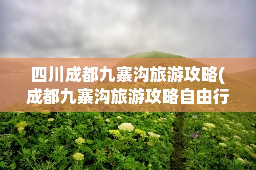 四川成都九寨沟旅游攻略(成都九寨沟旅游攻略自由行)