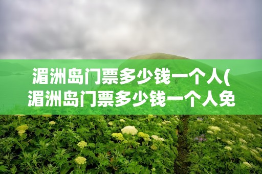 湄洲岛门票多少钱一个人(湄洲岛门票多少钱一个人免费)