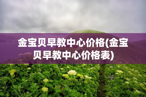 金宝贝早教中心价格(金宝贝早教中心价格表)