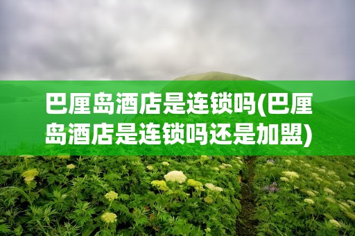 巴厘岛酒店是连锁吗(巴厘岛酒店是连锁吗还是加盟)