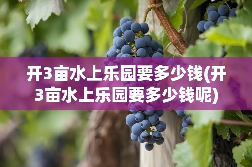 开3亩水上乐园要多少钱(开3亩水上乐园要多少钱呢)