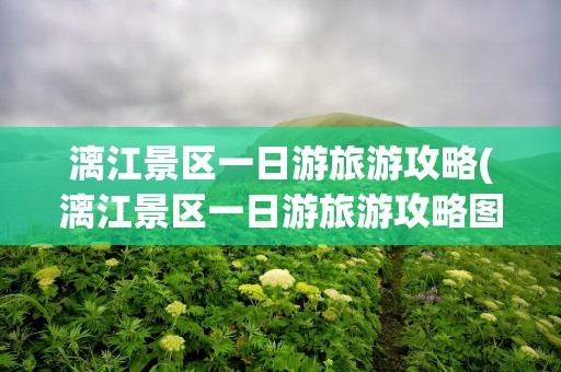 漓江景区一日游旅游攻略(漓江景区一日游旅游攻略图)