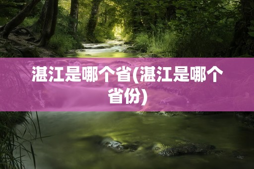 湛江是哪个省(湛江是哪个省份)
