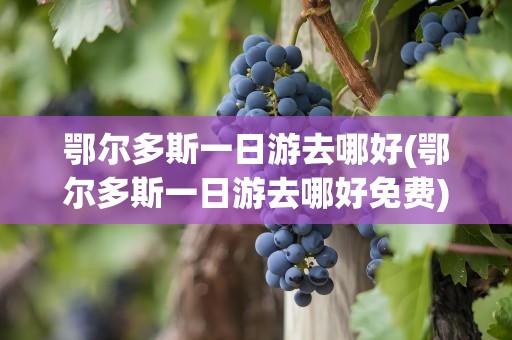 鄂尔多斯一日游去哪好(鄂尔多斯一日游去哪好免费)
