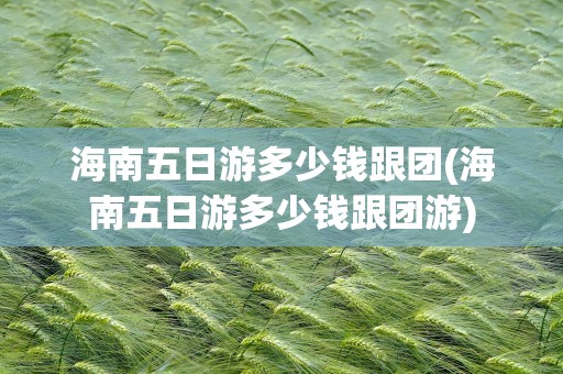 海南五日游多少钱跟团(海南五日游多少钱跟团游)