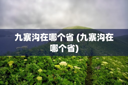 九寨沟在哪个省 (九寨沟在哪个省)