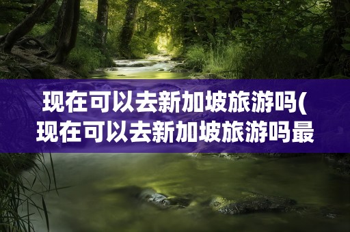 现在可以去新加坡旅游吗(现在可以去新加坡旅游吗最近)