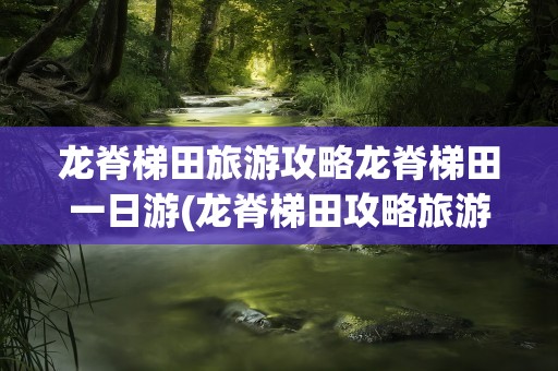 龙脊梯田旅游攻略龙脊梯田一日游(龙脊梯田攻略旅游攻略)