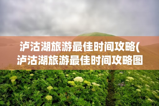 泸沽湖旅游最佳时间攻略(泸沽湖旅游最佳时间攻略图)