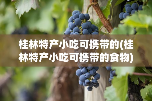 桂林特产小吃可携带的(桂林特产小吃可携带的食物)