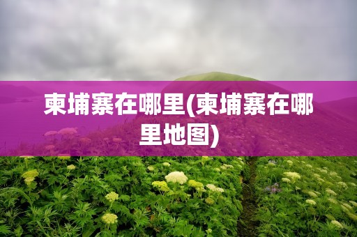 柬埔寨在哪里(柬埔寨在哪里地图)