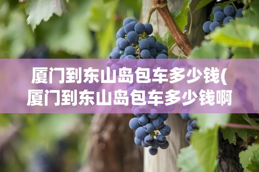 厦门到东山岛包车多少钱(厦门到东山岛包车多少钱啊)