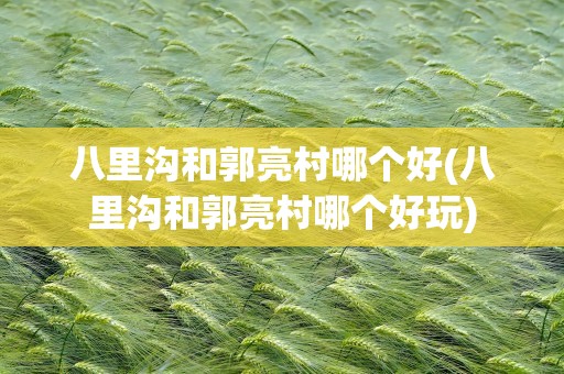 八里沟和郭亮村哪个好(八里沟和郭亮村哪个好玩)