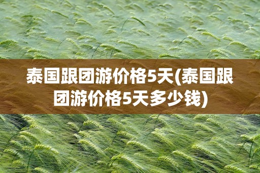 泰国跟团游价格5天(泰国跟团游价格5天多少钱)