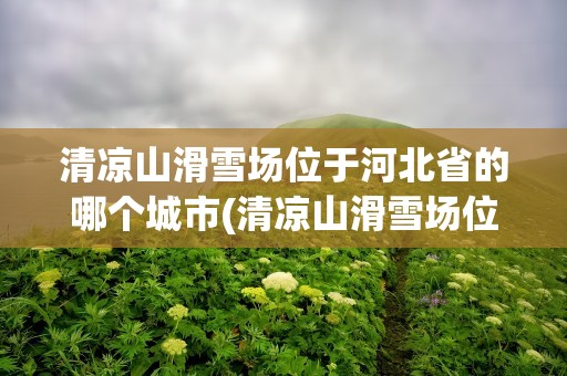清凉山滑雪场位于河北省的哪个城市(清凉山滑雪场位于河北省的哪个城市呢)