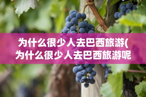为什么很少人去巴西旅游(为什么很少人去巴西旅游呢)